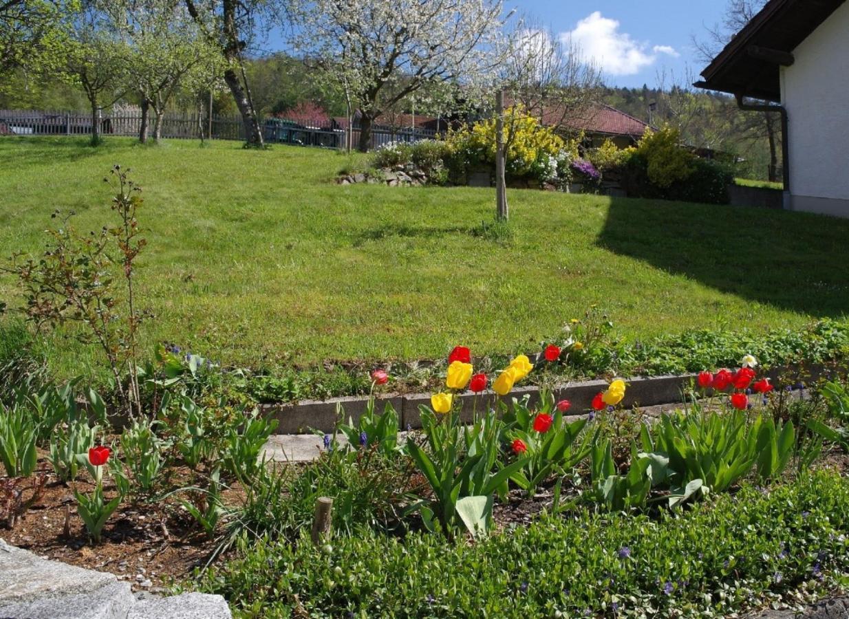 Ferienhaus Bayerwald Ringelai Esterno foto